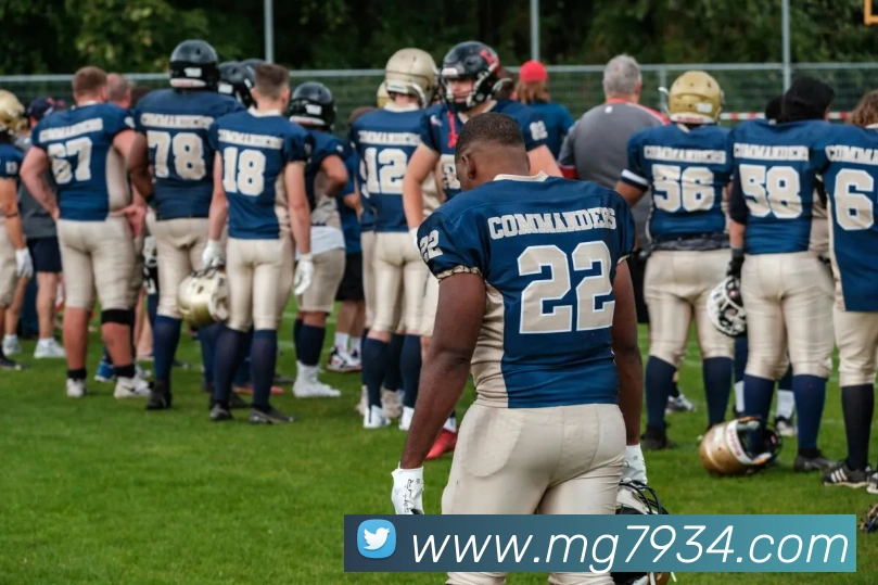 MG娱乐平台官网发展历程